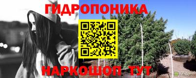 герыч Волжск